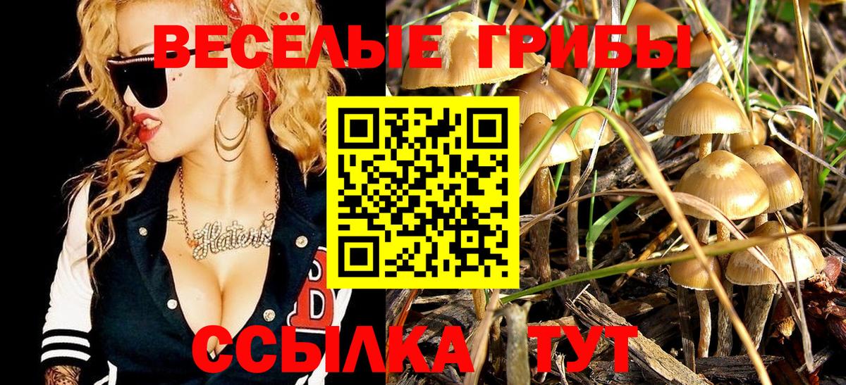 что такое   Псилоцибиновые грибы Psilocybe  Вход с VPN  Зима  Галлюциногенные грибы мицелий 