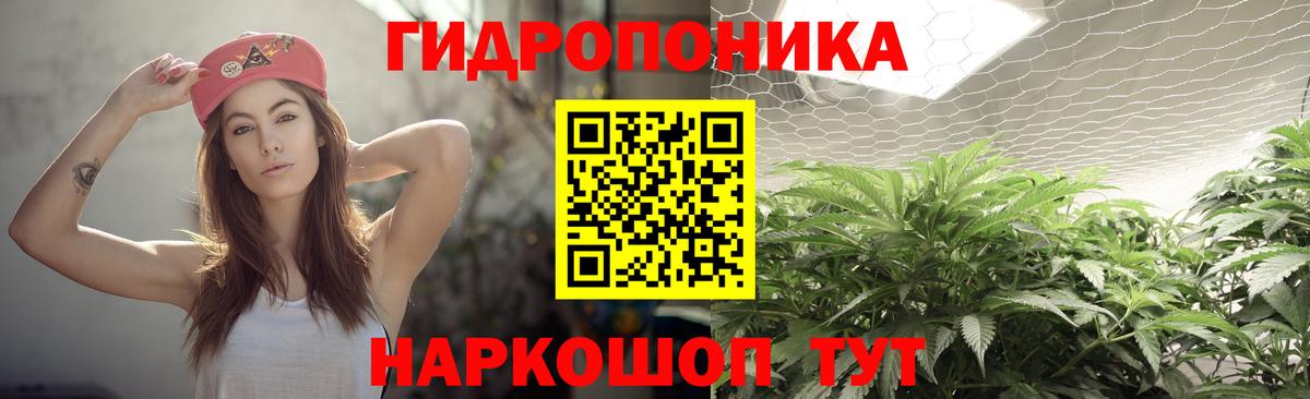 Зима  Канабис Amnesia  Вход с VPN  Марихуана MAZAR  Бошки Шишки индика  Бошки марихуана VHQ 