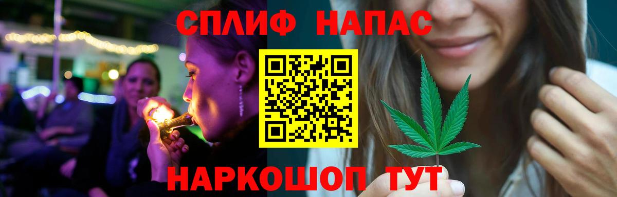 Канабис сатива Зима